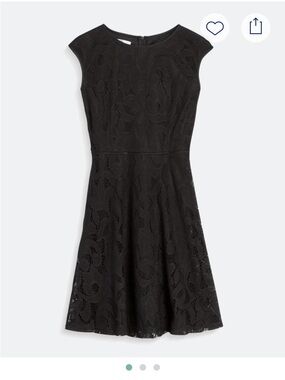 Wisp Black Lace Fit-and-Flare Mini Dress